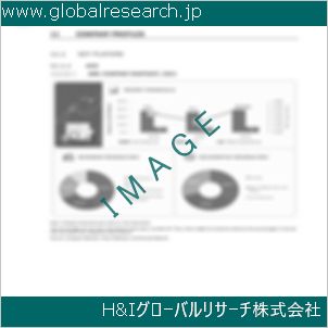 グローバルリサーチ調査資料のイメージ